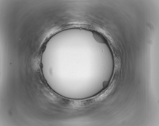 X0000111601357200907161205