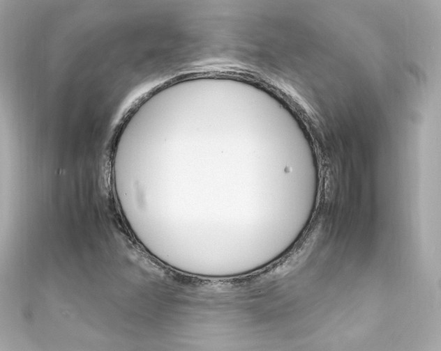 X0000111601358200907161205