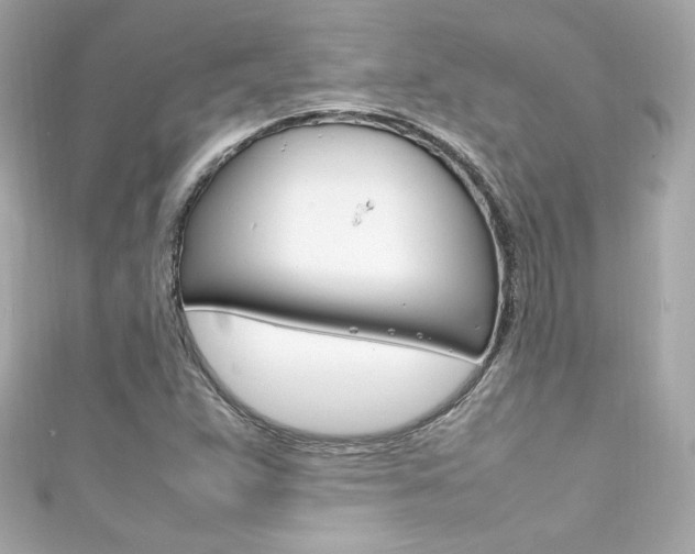 X0000111601359200907161205