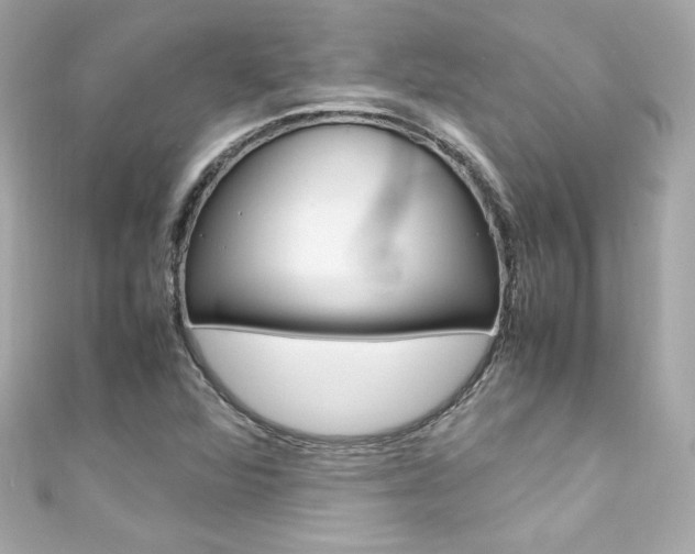 X0000111601360200907161205