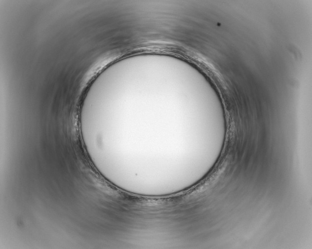 X0000111601362200907161205