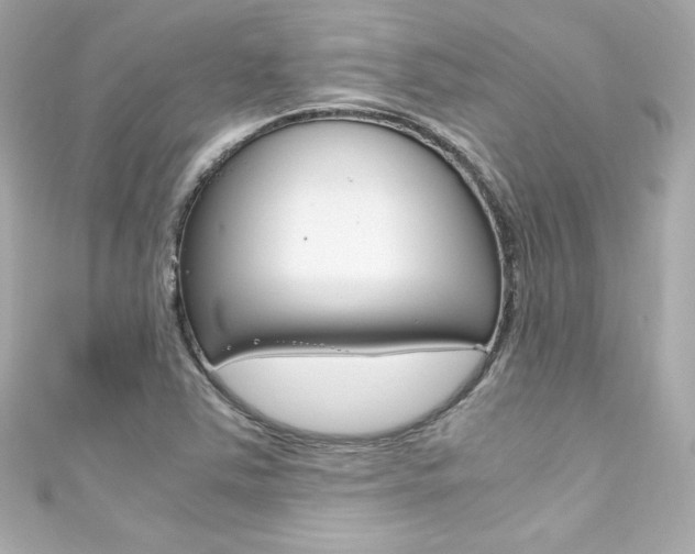 X0000111601363200907161205