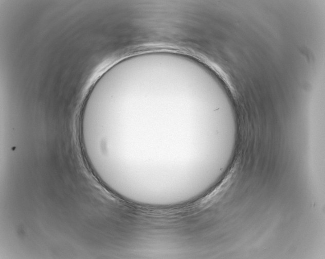 X0000111601365200907161205