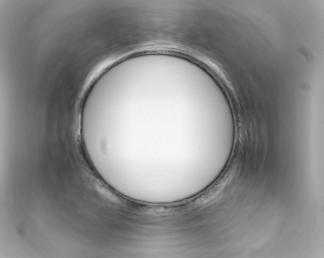 X0000111601366200907161205