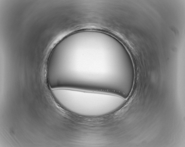 X0000111601367200907161205