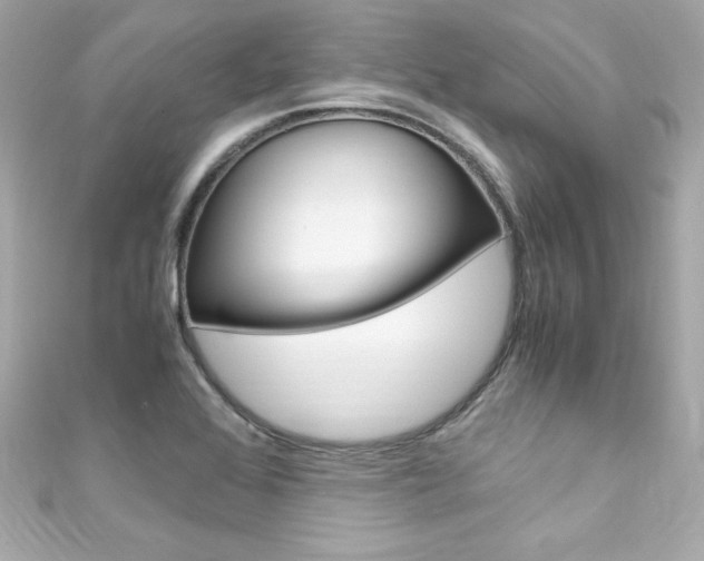 X0000111601368200907161205
