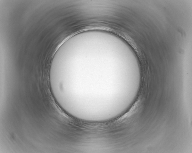 X0000111601369200907161205