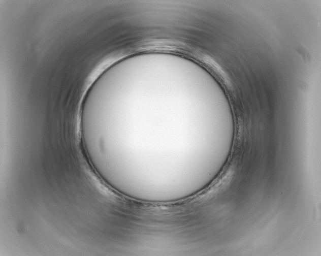 X0000111601370200907161205