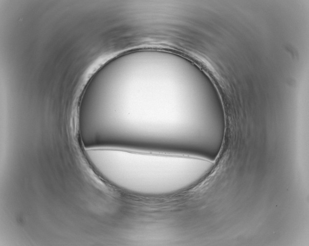 X0000111601371200907161205