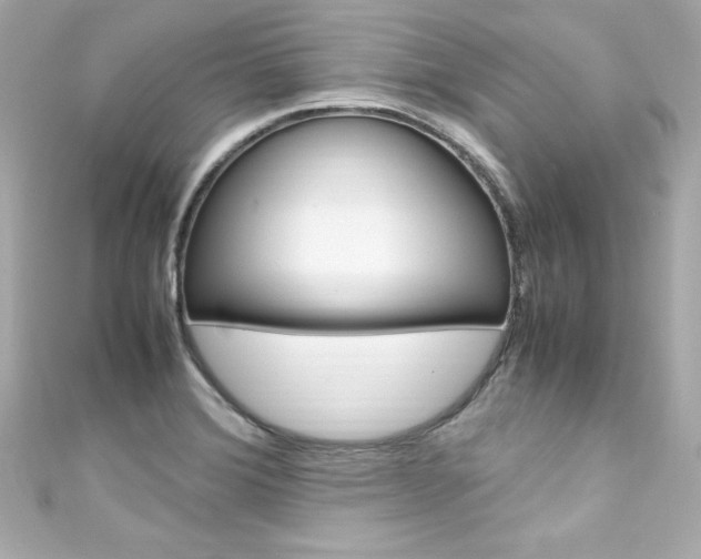X0000111601372200907161205