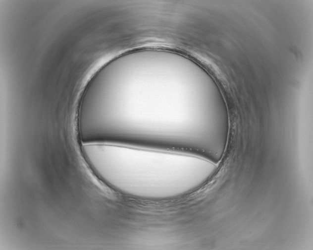 X0000111601375200907161205