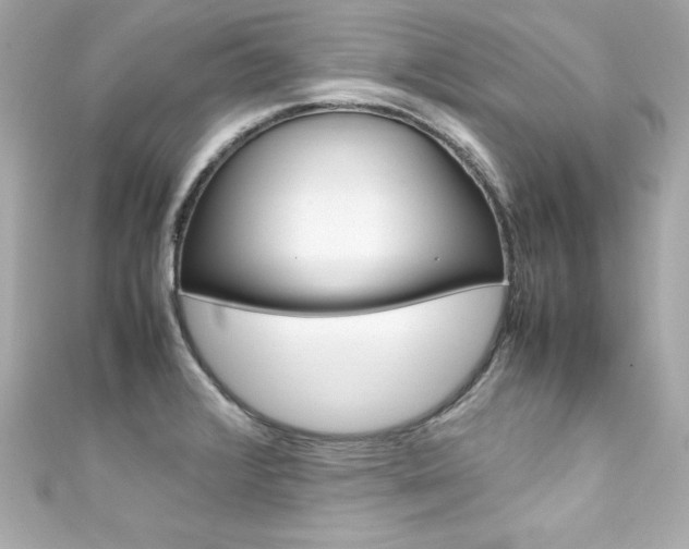 X0000111601376200907161205