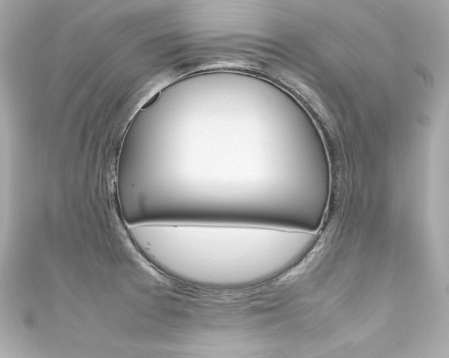 X0000111601377200907161205