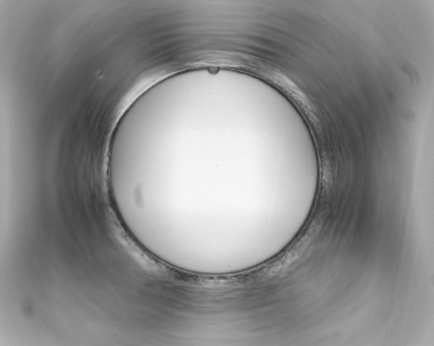 X0000111601378200907161205
