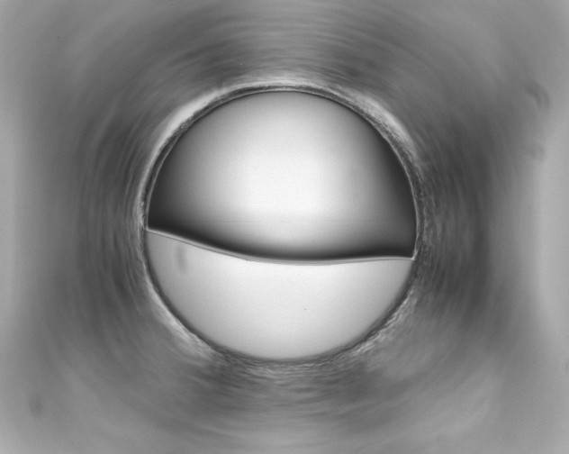 X0000111601380200907161205