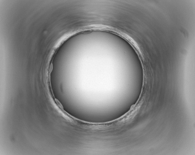 X0000111601381200907161205