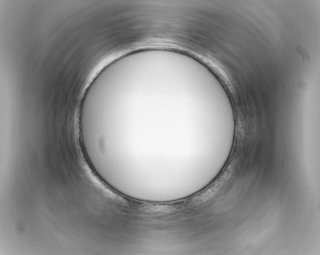 X0000111601382200907161205