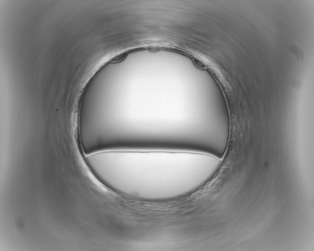 X0000111601383200907161205