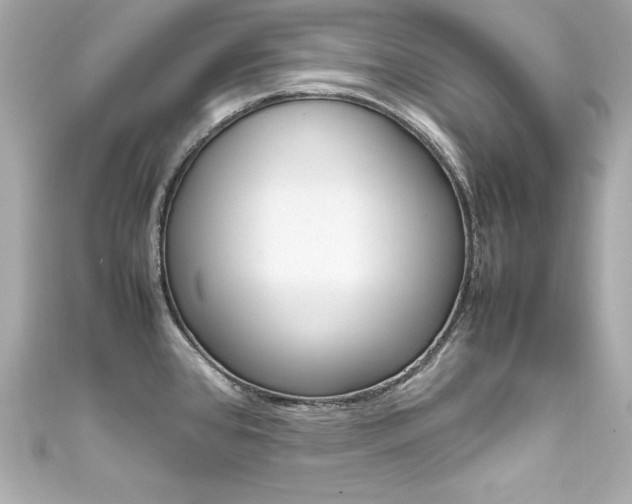 X0000111601384200907161205
