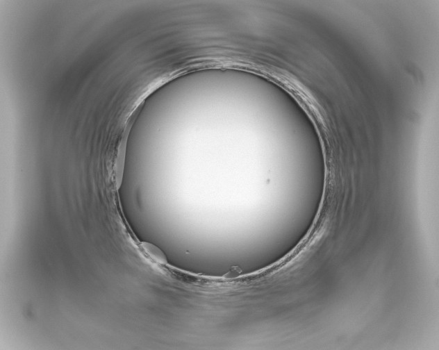 X0000111601385200907161205