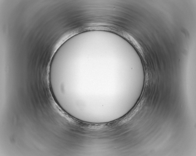 X0000111601386200907161205