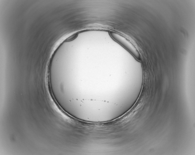 X0000111601387200907161205