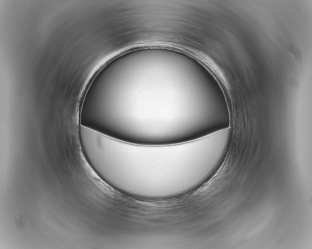 X0000111601388200907161205