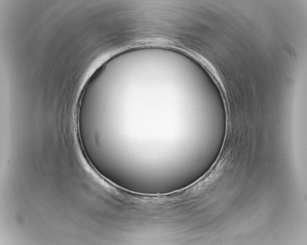 X0000111601389200907161205