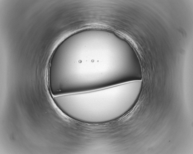 X0000111601391200907161204