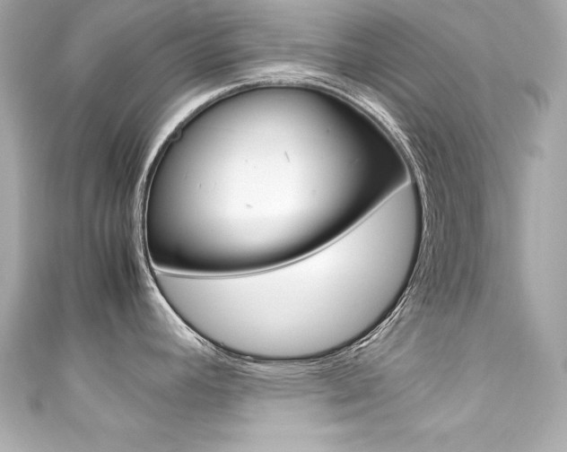 X0000111601392200907161204