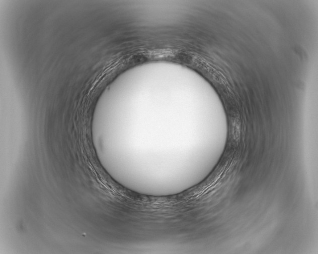 X0000111601393200907161204