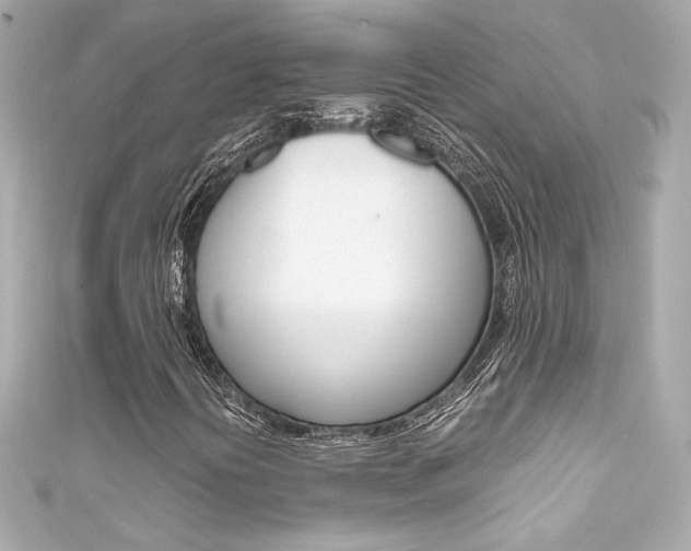 X0000111601394200907161204
