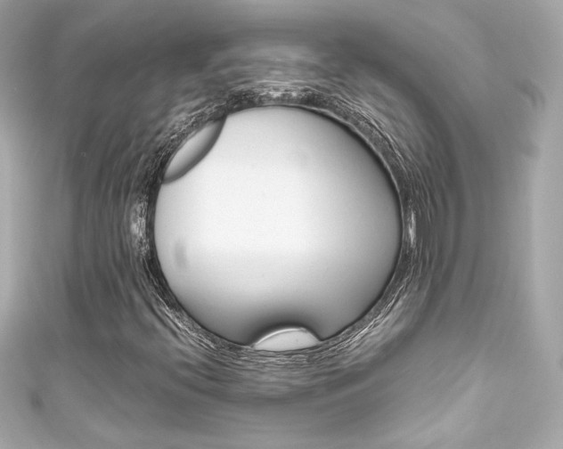 X0000111601396200907161204