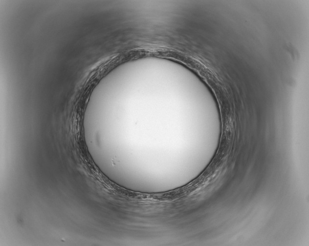 X0000111601398200907161204