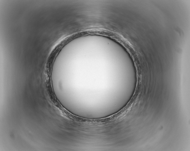 X0000111601400200907161204