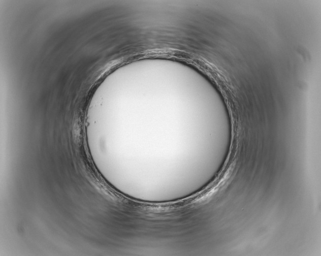 X0000111601401200907161204