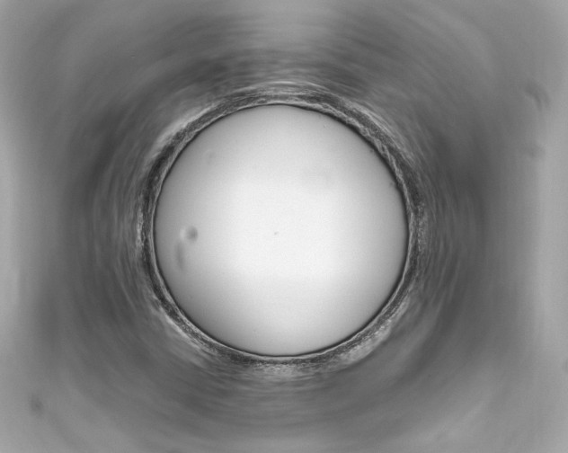 X0000111601402200907161204