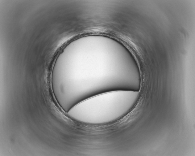 X0000111601404200907161204