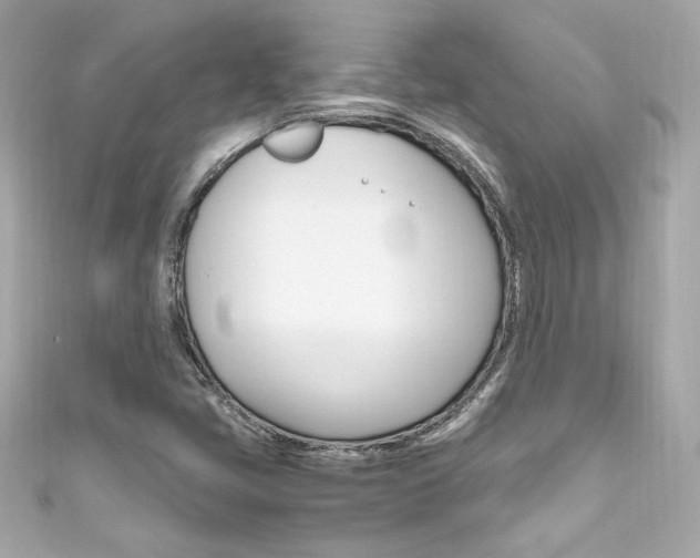 X0000111601405200907161204