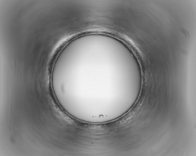 X0000111601408200907161204