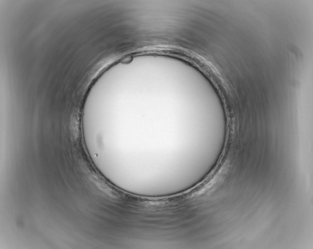 X0000111601409200907161204