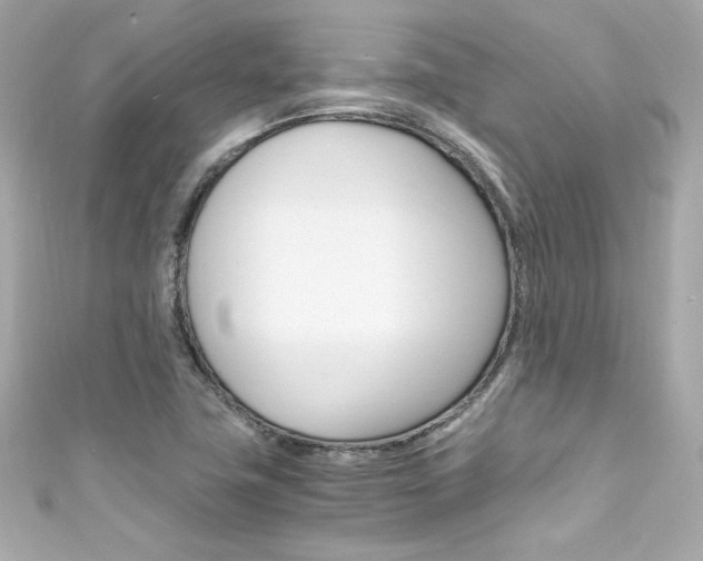 X0000111601411200907161204