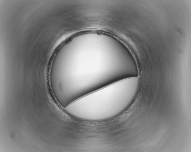 X0000111601412200907161204