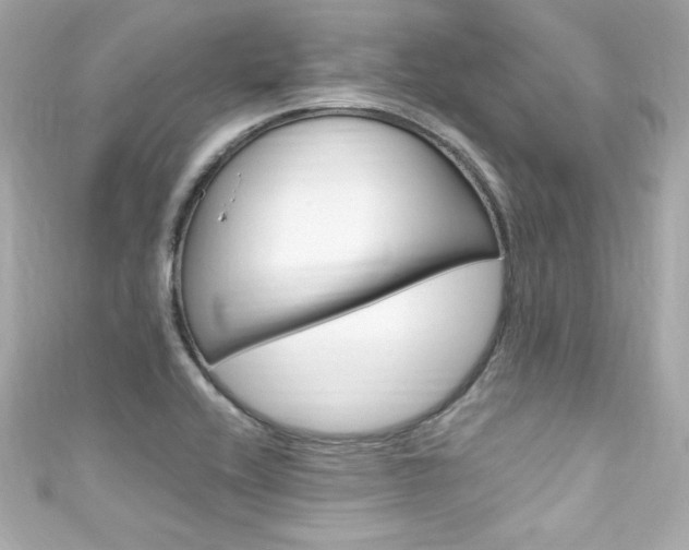 X0000111601416200907161204
