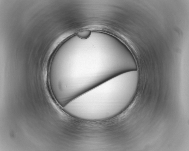 X0000111601418200907161204