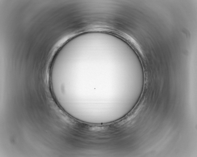 X0000111601419200907161204