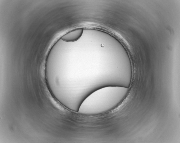 X0000111601421200907161204