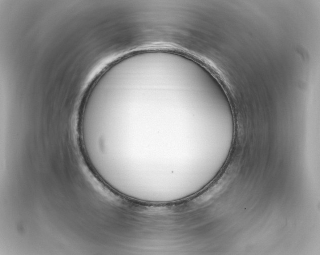 X0000111601422200907161204