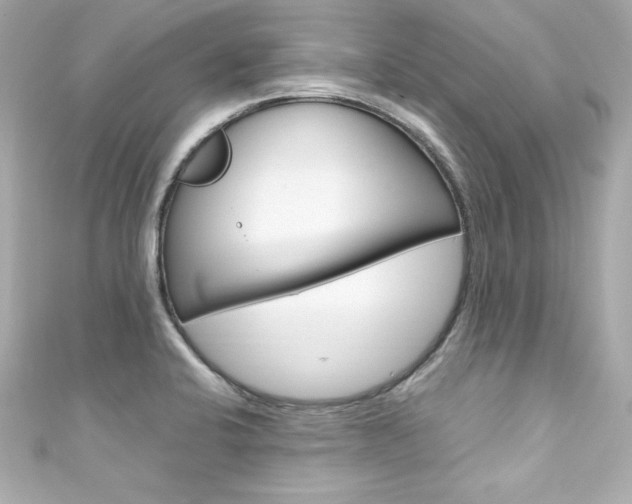 X0000111601424200907161204