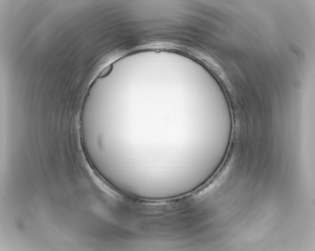 X0000111601425200907161204